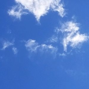 Meet your Posher, Shaal